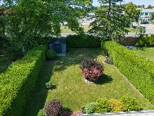 Great 4 Bed Home in Highly Coveted Bullock Conservation-Markham - Photo 10