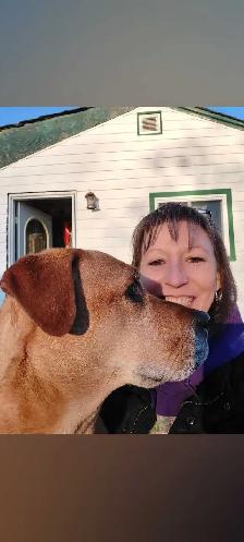 Walk and Train  , Dog trainer - Photo 3