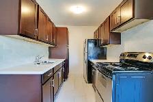 Charming 1 Bedroom Apartment for Rent - Whitby - Photo 2