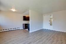 Charming 1 Bedroom Apartment for Rent - Whitby - Photo 4