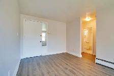 Charming 1 Bedroom Apartment for Rent - Whitby - Photo 6