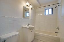 Charming 1 Bedroom Apartment for Rent - Whitby - Photo 8
