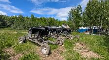 Dryland Dog Carts - Photo 2