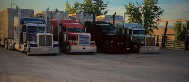 Class 1 Livestock Hauler Wanted