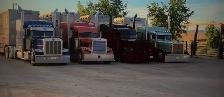 Class 1 Livestock Hauler Wanted