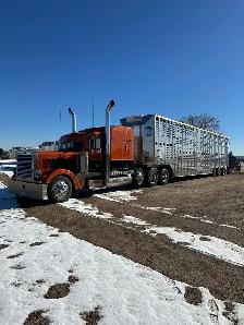 Class 1 Livestock Hauler Wanted - Photo 3