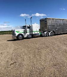 Class 1 Livestock Hauler Wanted - Photo 4