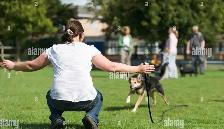 Reliable Recall  , Dog training - Photo 3