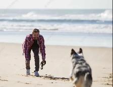 Reliable Recall  , Dog training - Photo 4