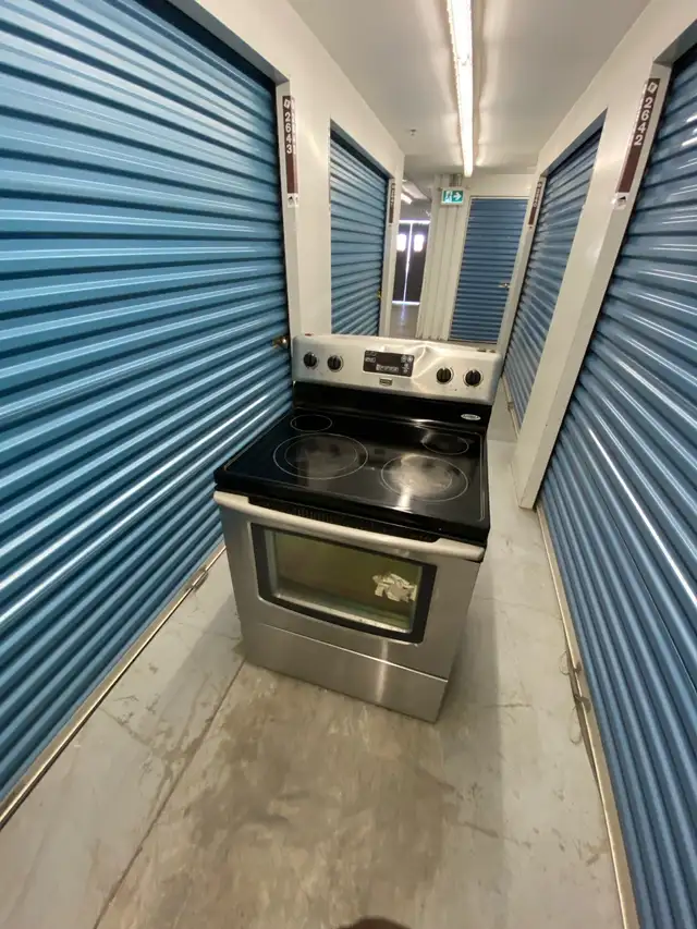 STAINLESS STEEL CONVECTION OVEN