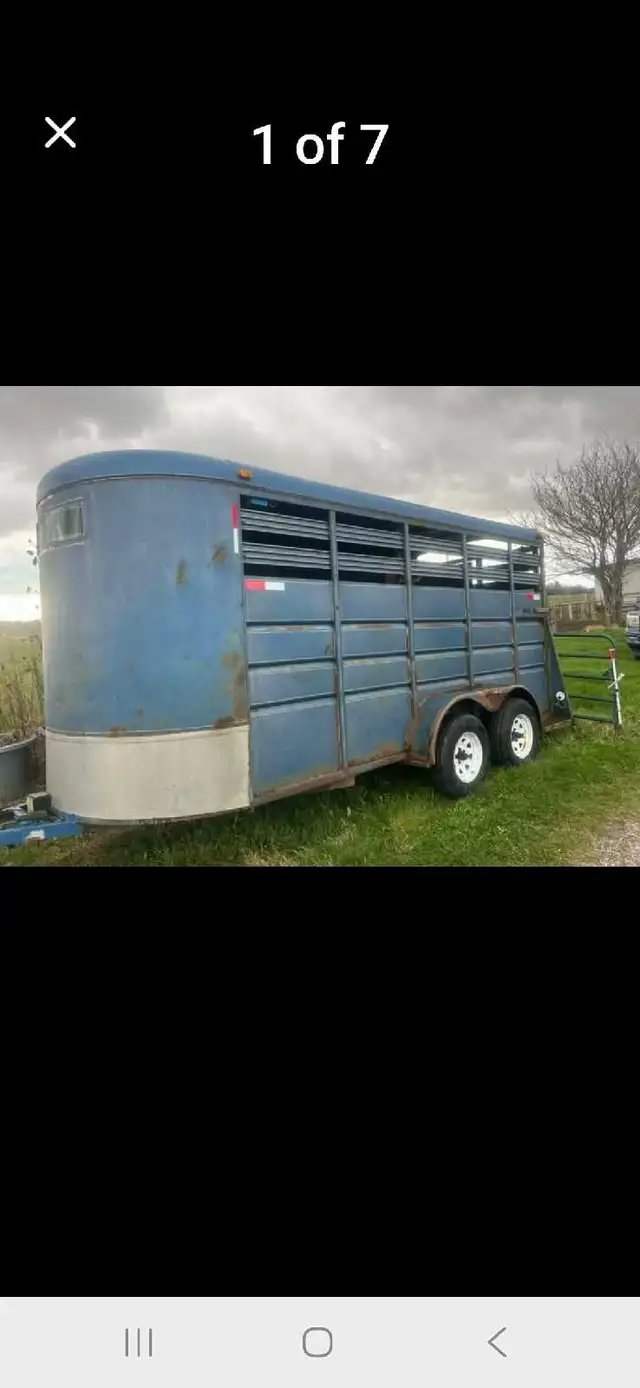 2 horse trailer