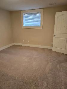 Chestermere 2 BR legal suite with Separate Entrance for Rent - Photo 7