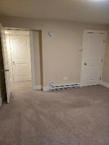 Chestermere 2 BR legal suite with Separate Entrance for Rent - Photo 8