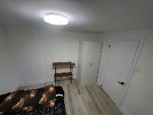 Bright 1 Bedroom Basement Apartment for Rent – Nanwood and main - Photo 4