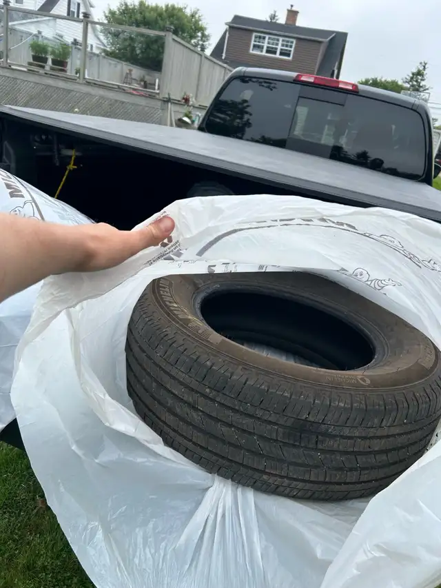 Michelin Primacy Tires