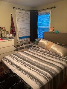2 Bedroom apartment in Westboro - Photo 6