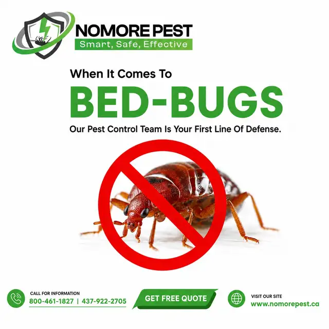 Pest Control Services | FREE Inspection & Quote | 10% OFF