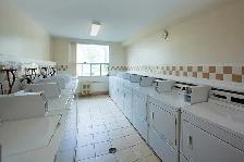 2 bedroom   2 bathroom Apartment to Rent in Sarnia! - Photo 11