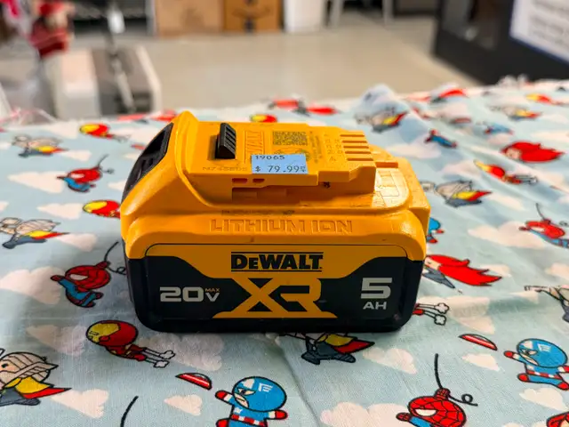 DEWALT 20V MAX Lithium-Ion 5.0 AH Battery (#19065)
