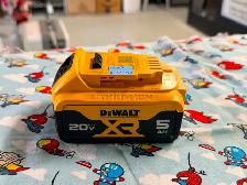 DEWALT 20V MAX Lithium-Ion 5.0 AH Battery (#19065)