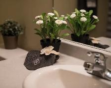 '3 Bedroom -Timberlea Building - Pet Friendly' - Photo 3