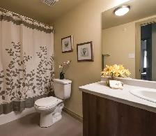'3 Bedroom -Timberlea Building - Pet Friendly' - Photo 7