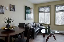 '3 Bedroom -Timberlea Building - Pet Friendly' - Photo 15