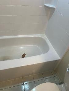 Re-caulking Shower and Bath $100 - Photo 9