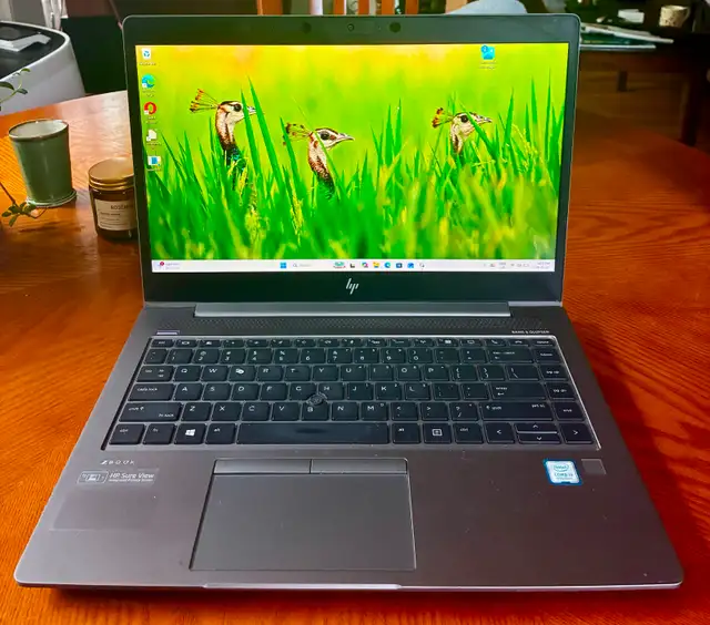HP ZBook EXCELLENT AND CHEAP!