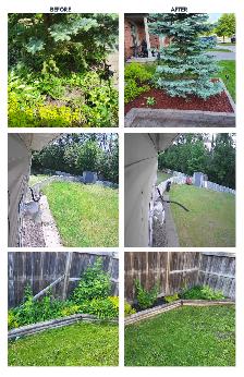 Lawn Care Helper Needed - Photo 4