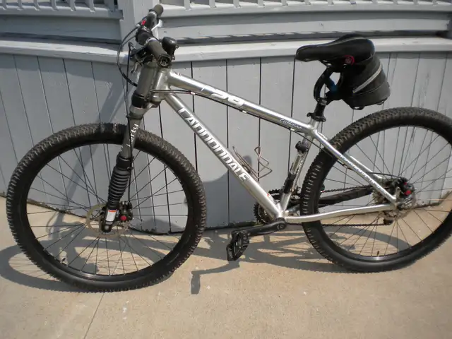 Cannondale  caffeine 29er