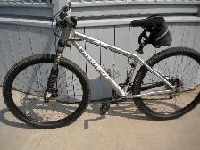 Cannondale  caffeine 29er