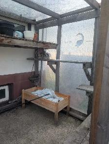 free catio/greenhouses or even take it for the lumber - Photo 2