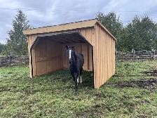 ONE BOARDING SPOT AVAILABLE ON HOBBY HORSE FARM - Photo 3