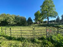 ONE BOARDING SPOT AVAILABLE ON HOBBY HORSE FARM - Photo 7