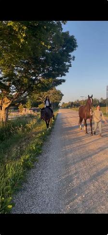 ONE BOARDING SPOT AVAILABLE ON HOBBY HORSE FARM - Photo 10
