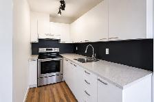 Studio lumineux à partir de 901 $/mois – Arvida (Jonquière) - Photo 4