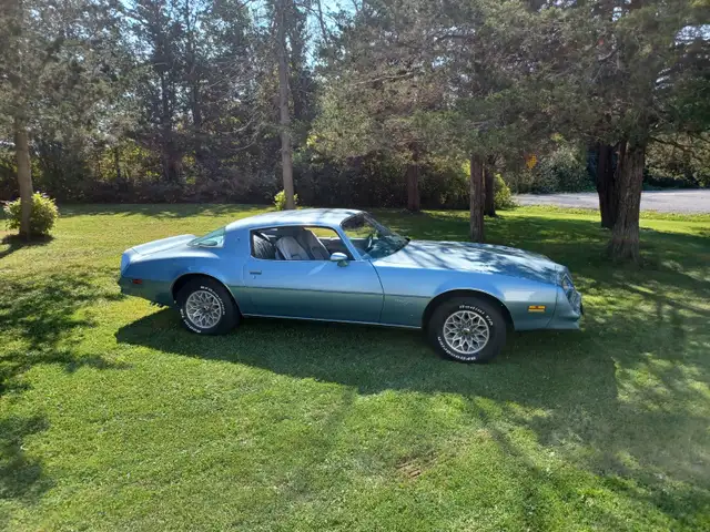 77 Pontiac Firebird