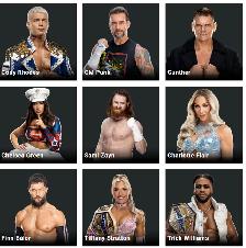 WWe Summer Tour Calgary - Photo 5
