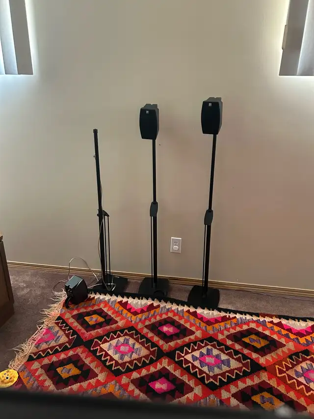 TV screen,  CD player,  amplifier, and speak