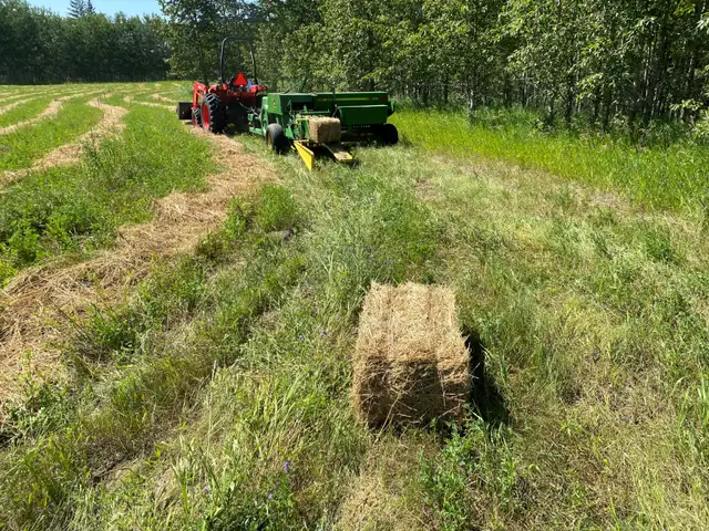Small square hay bales