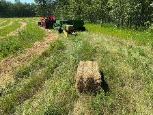Small square hay bales