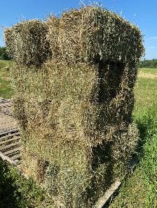 Small square hay bales - Photo 2