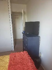 FEMALE ROOMMATE WANTED - Photo 2