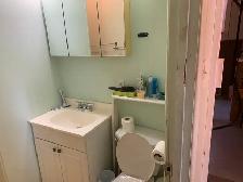 TWO BEDROOM BASEMENT SUITE FOR RENT CLOSE TO ALL AMENITIES - Photo 3