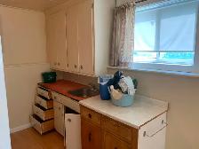TWO BEDROOM BASEMENT SUITE FOR RENT CLOSE TO ALL AMENITIES - Photo 8