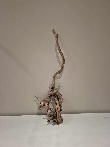 Beautiful Georgian Bay driftwood 23' tall, natural untreated