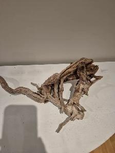 Beautiful Georgian Bay driftwood 23' tall, natural untreated - Photo 2