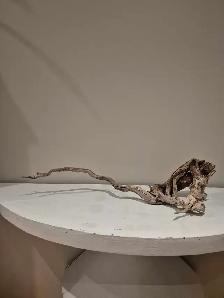 Beautiful Georgian Bay driftwood 23' tall, natural untreated - Photo 3
