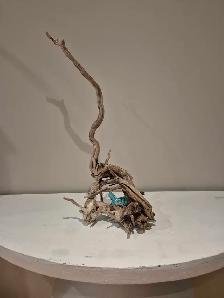 Beautiful Georgian Bay driftwood 23' tall, natural untreated - Photo 5
